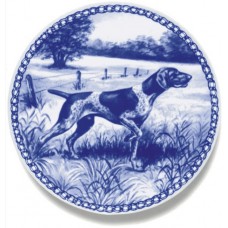 German Shorthaired Pointer